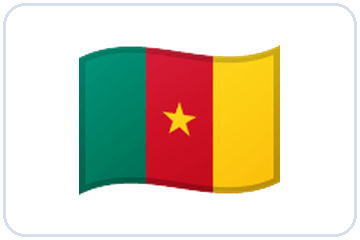 Drapeau — Cameroun