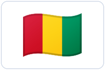 Drapeau — Guinée Conakry